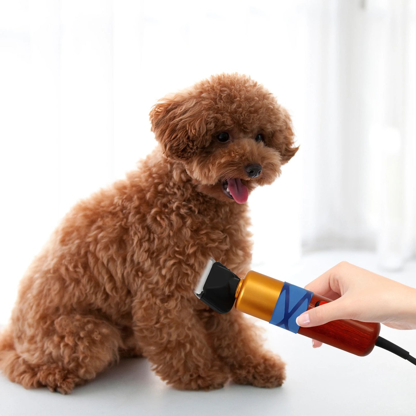 Low Noise Professional Pet Hair Clipper for Dogs and Cats