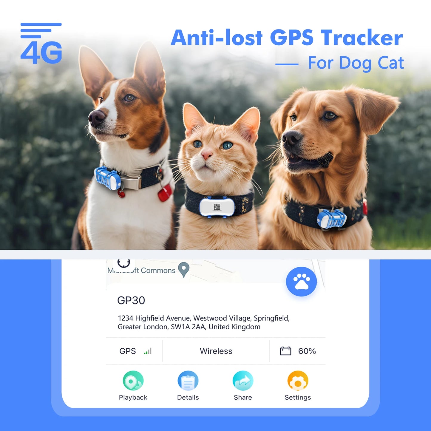 4G Waterproof Dog Cat GPS Tracker with Live Tracking App