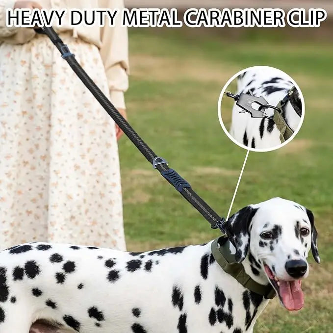 Reflective Shock Absorbing Heavy Duty Tactical Bungee Dog Leash with Car Seatbelt