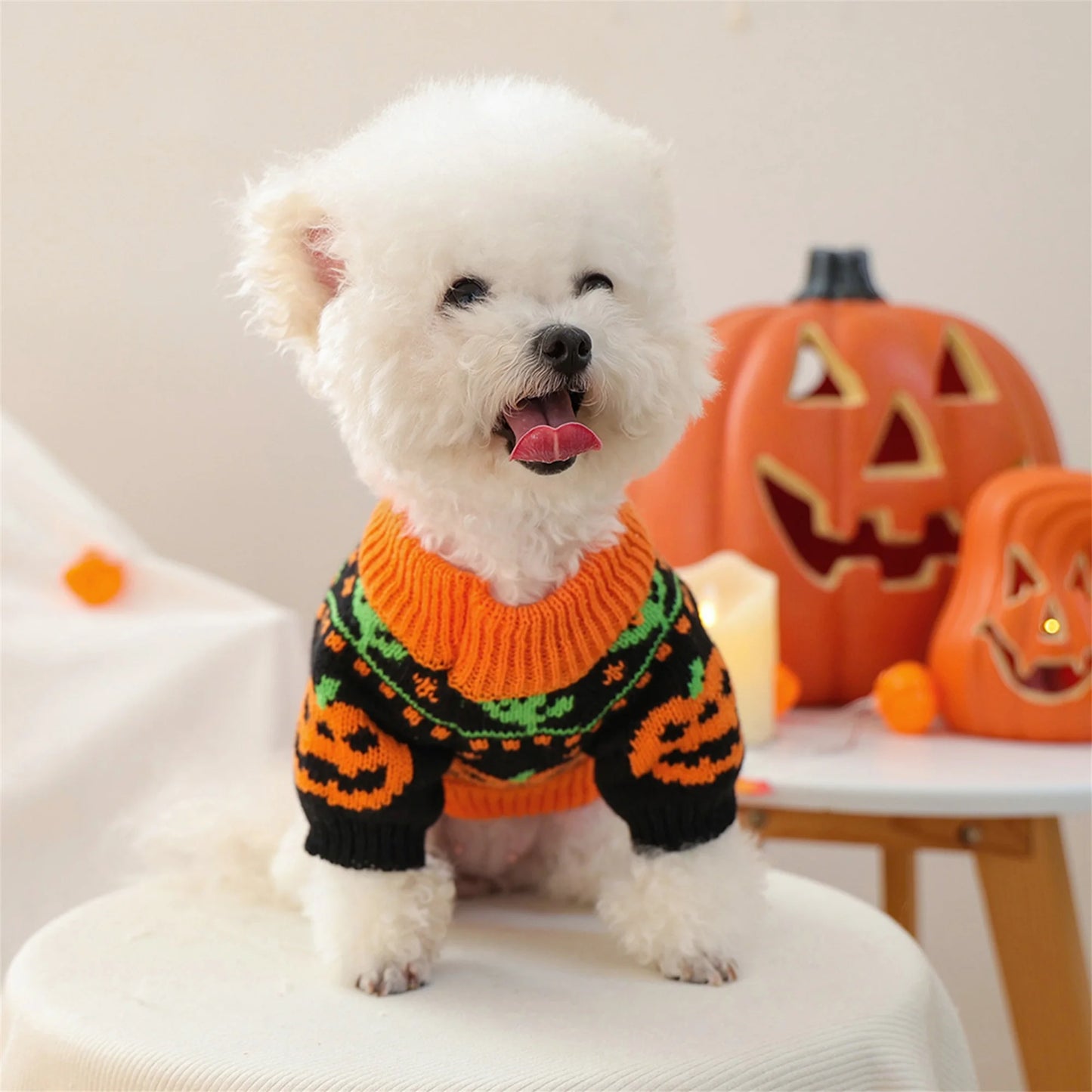 Halloween Ghost Costume for Dogs and Cats by NoEnName Knitted Pumpkin Sweater Outfit