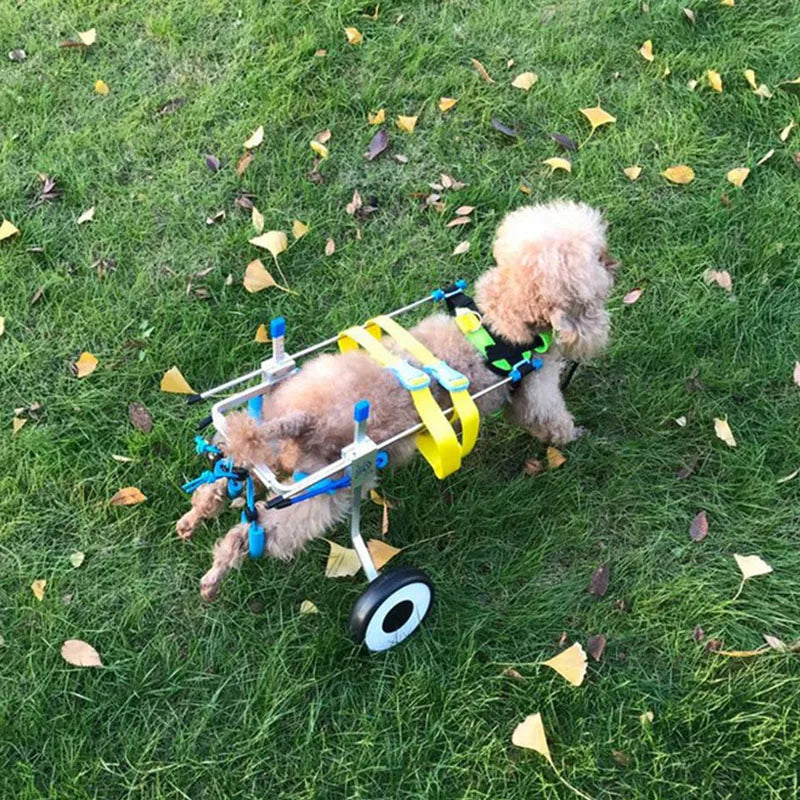 2025 Aluminum Dog Wheelchair Adjustable Pet Cart for Disabled Dogs
