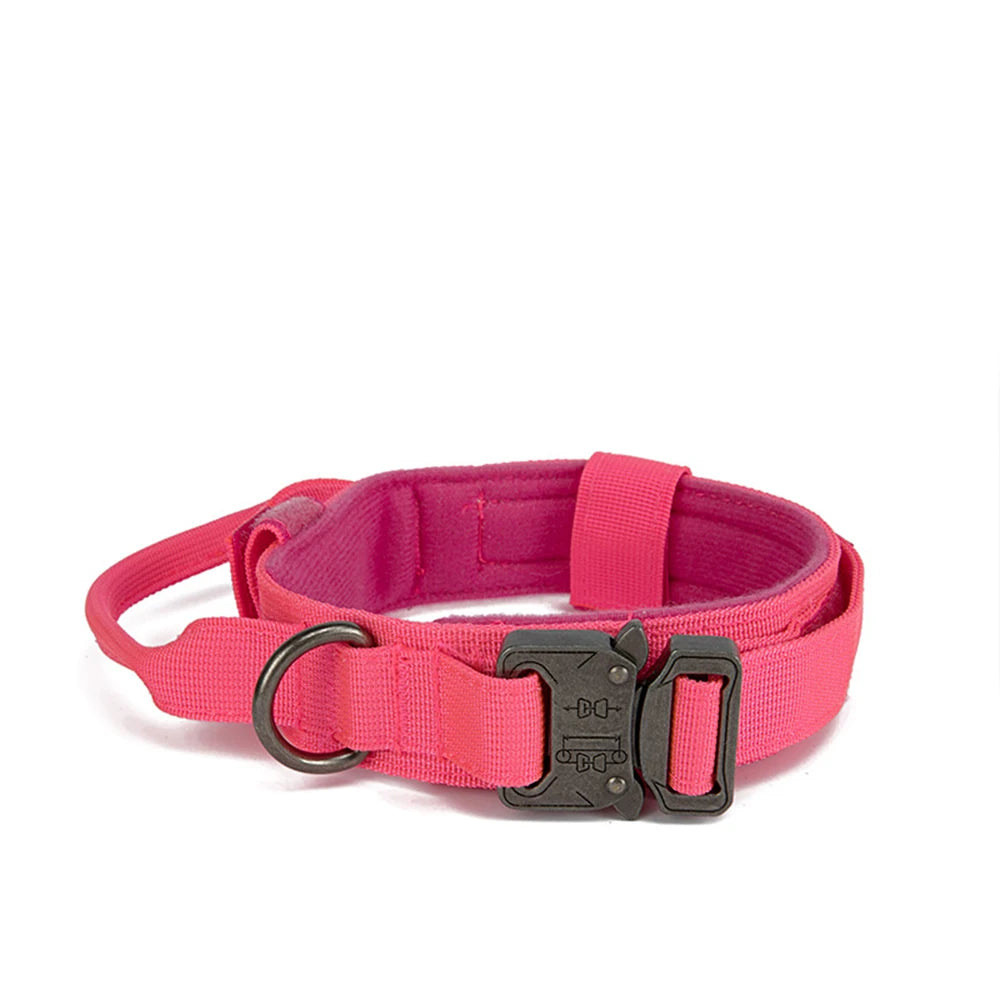 Durable Nylon Dog Collar and Leash Set for Large Breeds