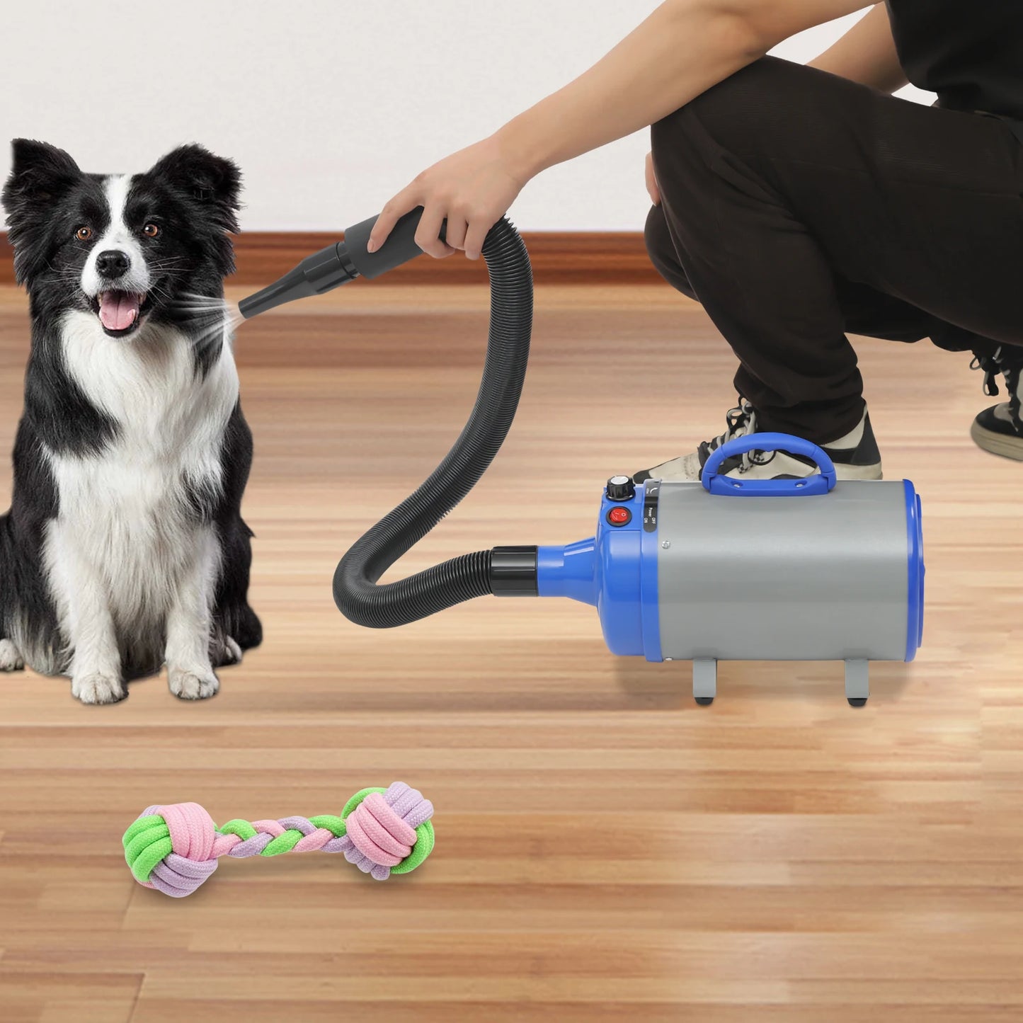 2200W Pet Hair Dryer With 4 Nozzles And Adjustable Speed