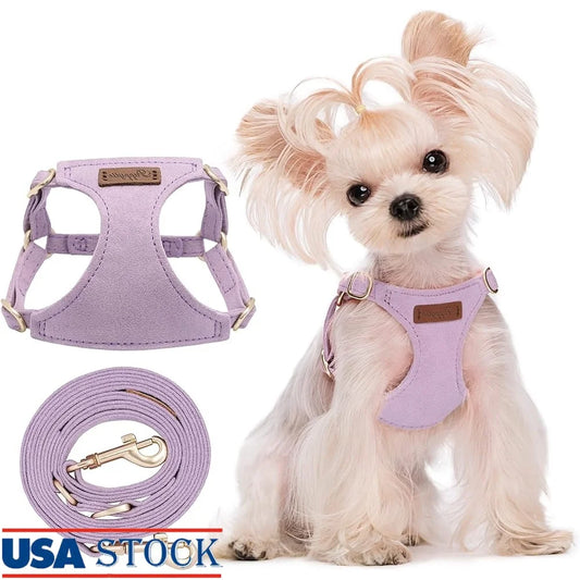 CN Fujian Adjustable No Pull Puppy Harness With Leash