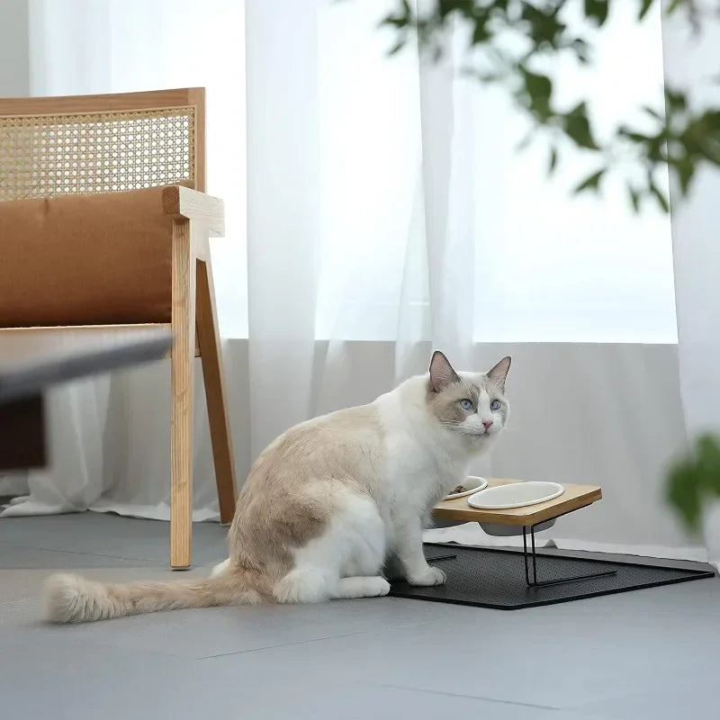 Elevated Cat Ceramic Bowls with Bamboo Stand for Easy Feeding