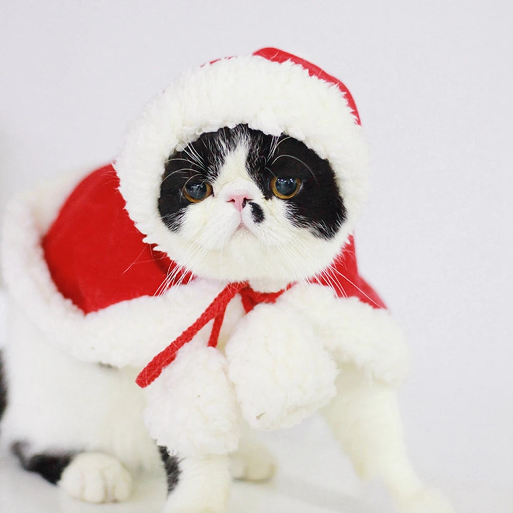 Pet Cat Dog Cape Change Into Santa Cape Deer Red Riding Hood Warm Plush Kawaii Comfortable Windproof Costume