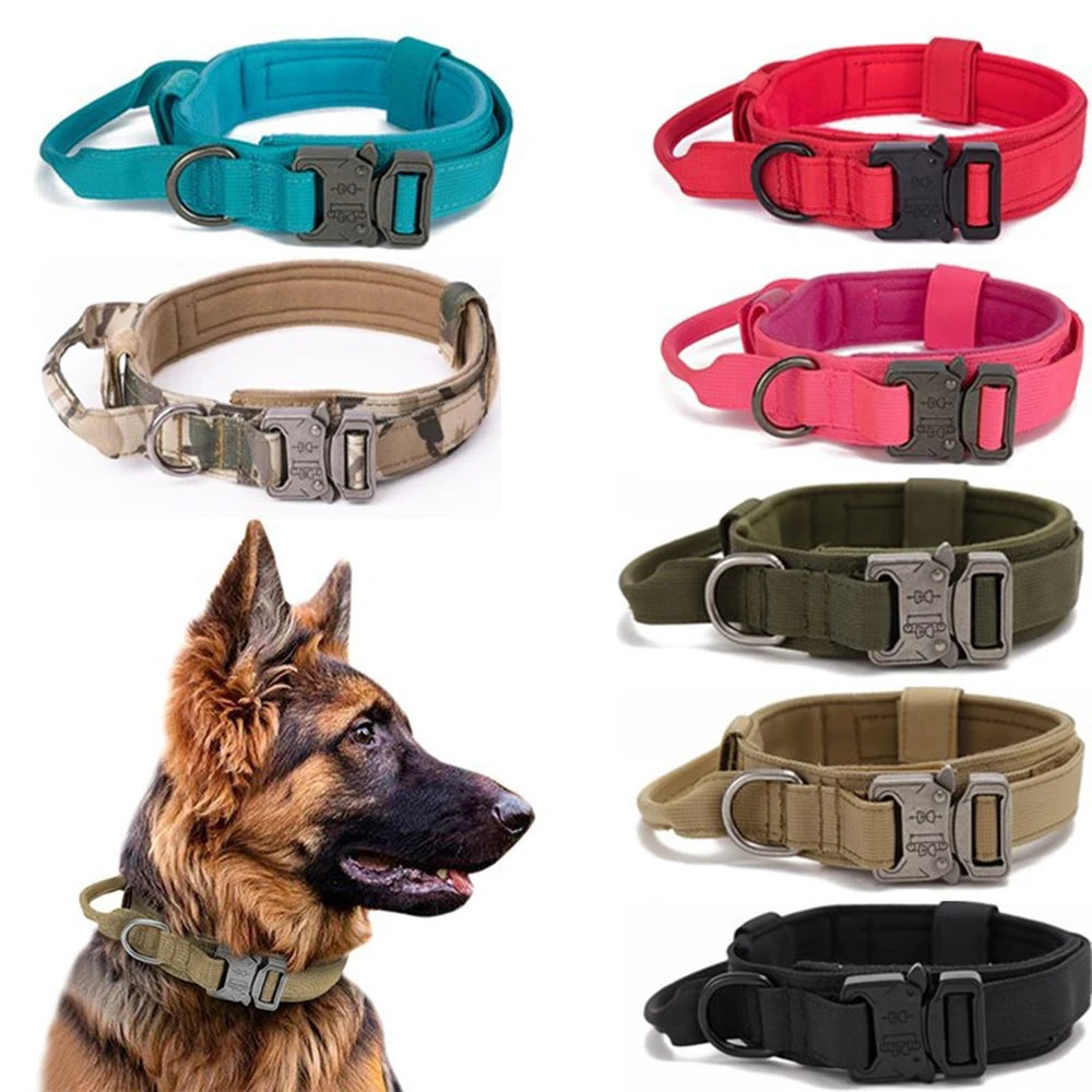 Durable Nylon Dog Collar and Leash Set for Large Breeds