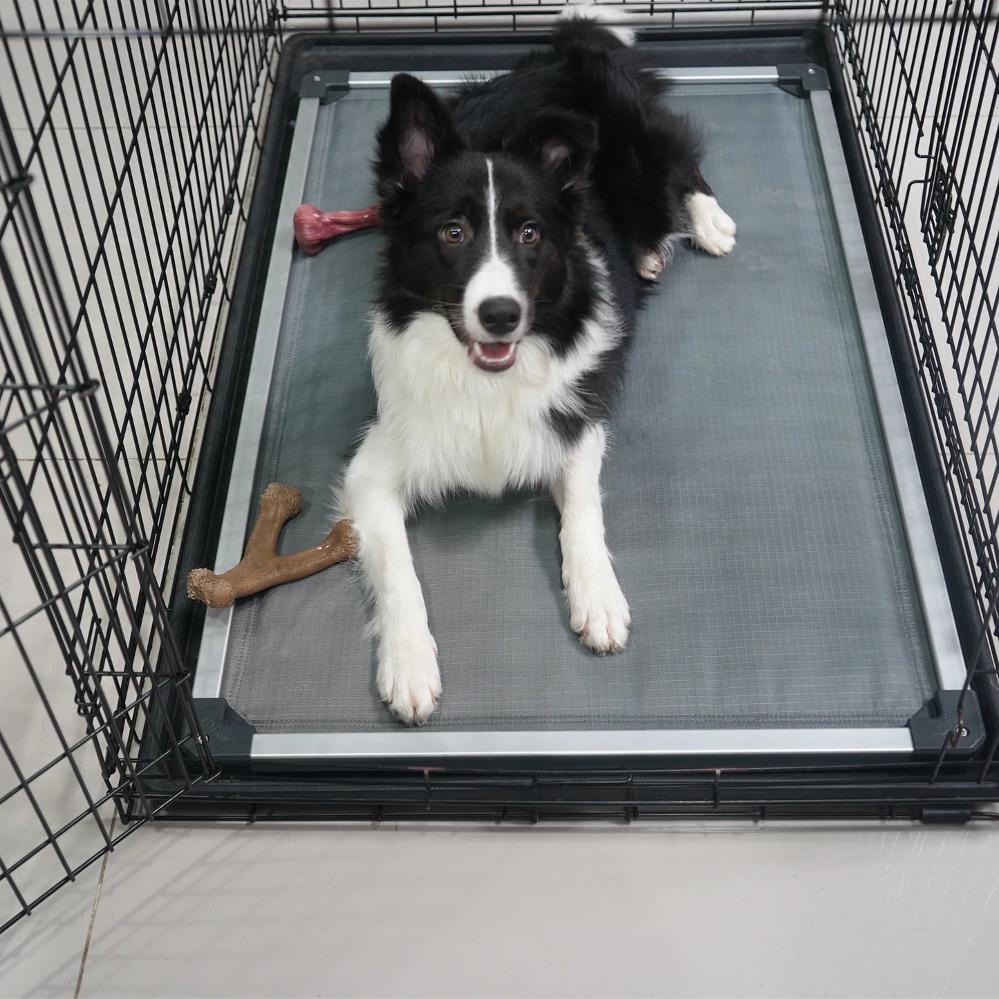 FXW Titanest Padded Dog Bed for Crate Chewproof Indoor Use