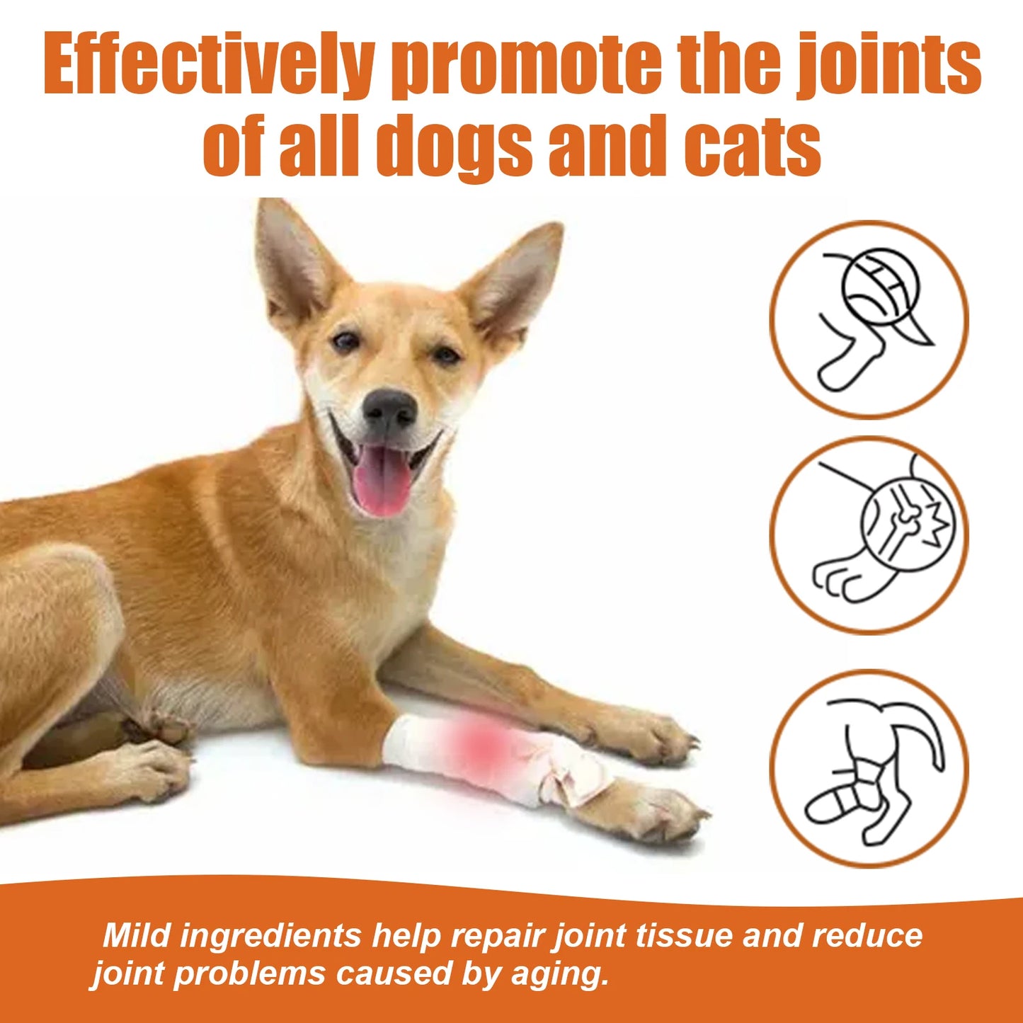 Yegbong Pet Bee Venom Water Saving Relief for Dogs and Cats Joint and Hip Pain Care with Vitamins