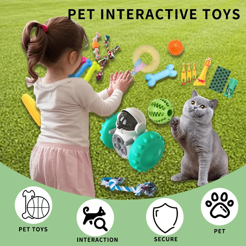 18 Piece Dog Toy Set with Squeaky Chew Toys and Ropes