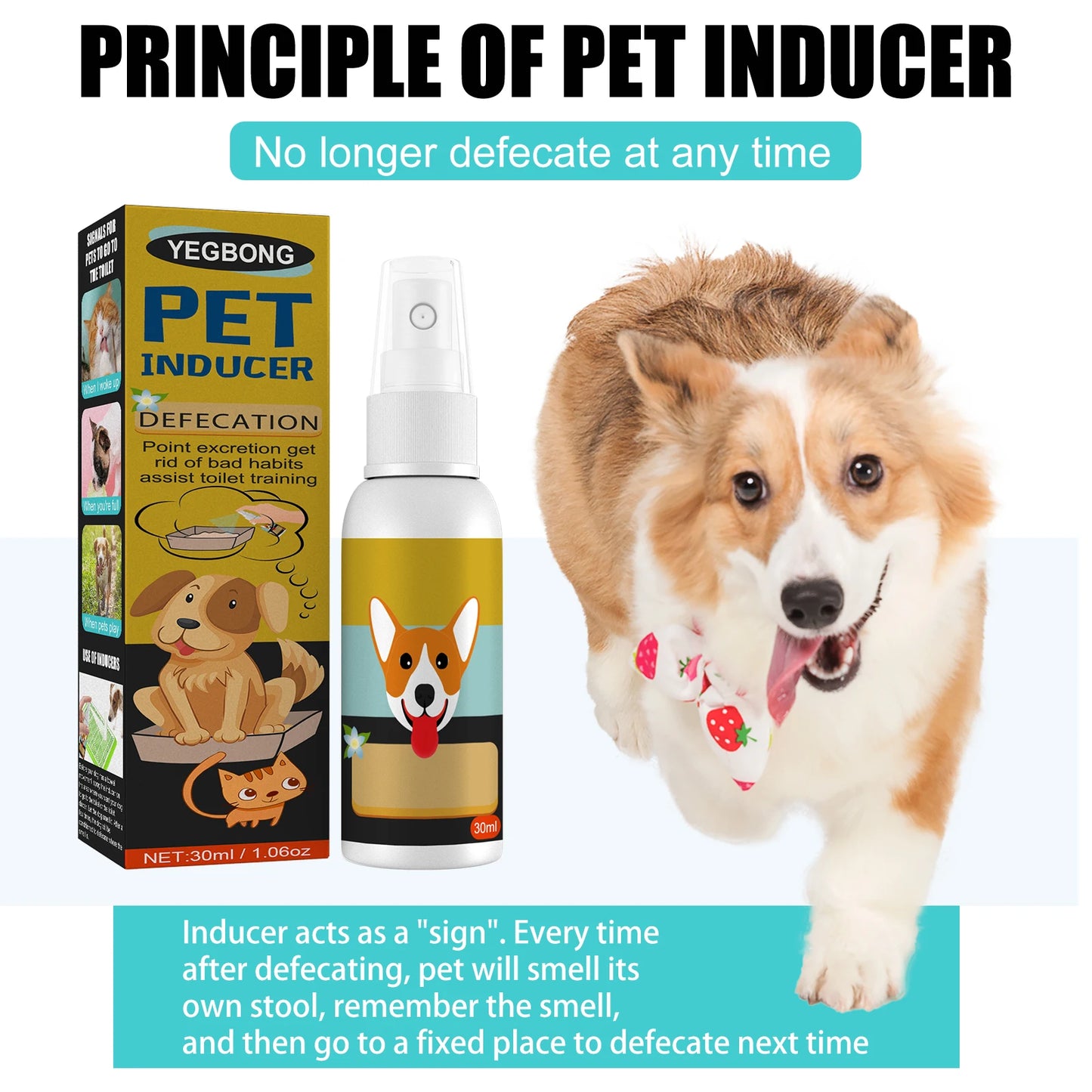 Dog Potty Training Spray for Effective Outdoor Toilet Training