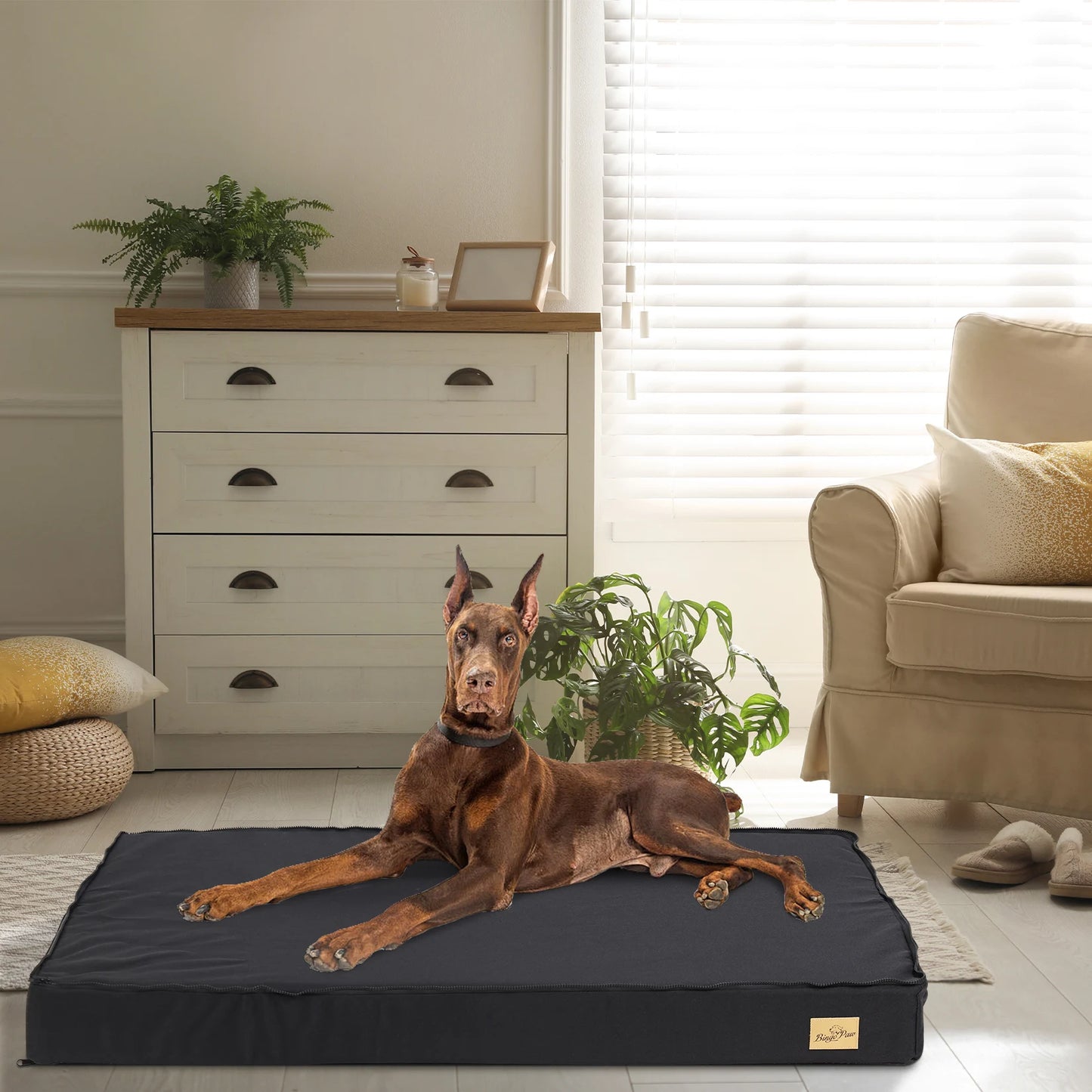 Washable Orthopedic Dog Bed for Large Dogs Comfortable Foam