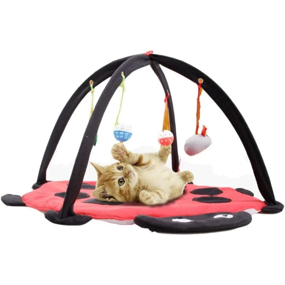 Cat Tent Activity Center with Hanging Cat Toys Balls Best Cat Bed Tent Kitten Mat Pet Supplies