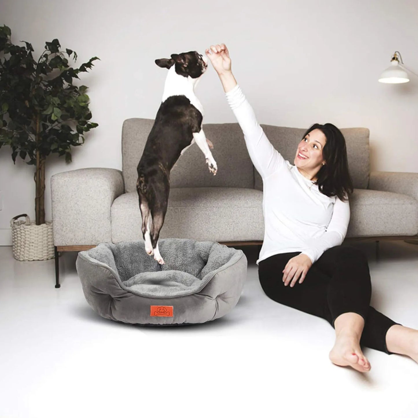 Soft Water Resistant Pet Bed with Non-Slip Base for All Pets