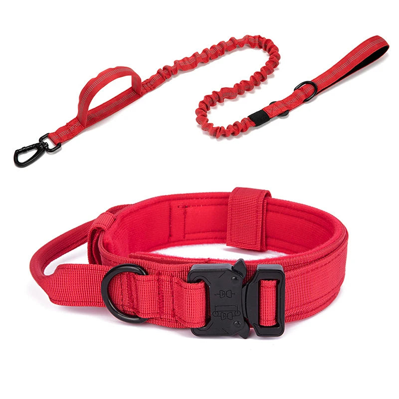 Durable Nylon Dog Collar and Leash Set for Large Breeds