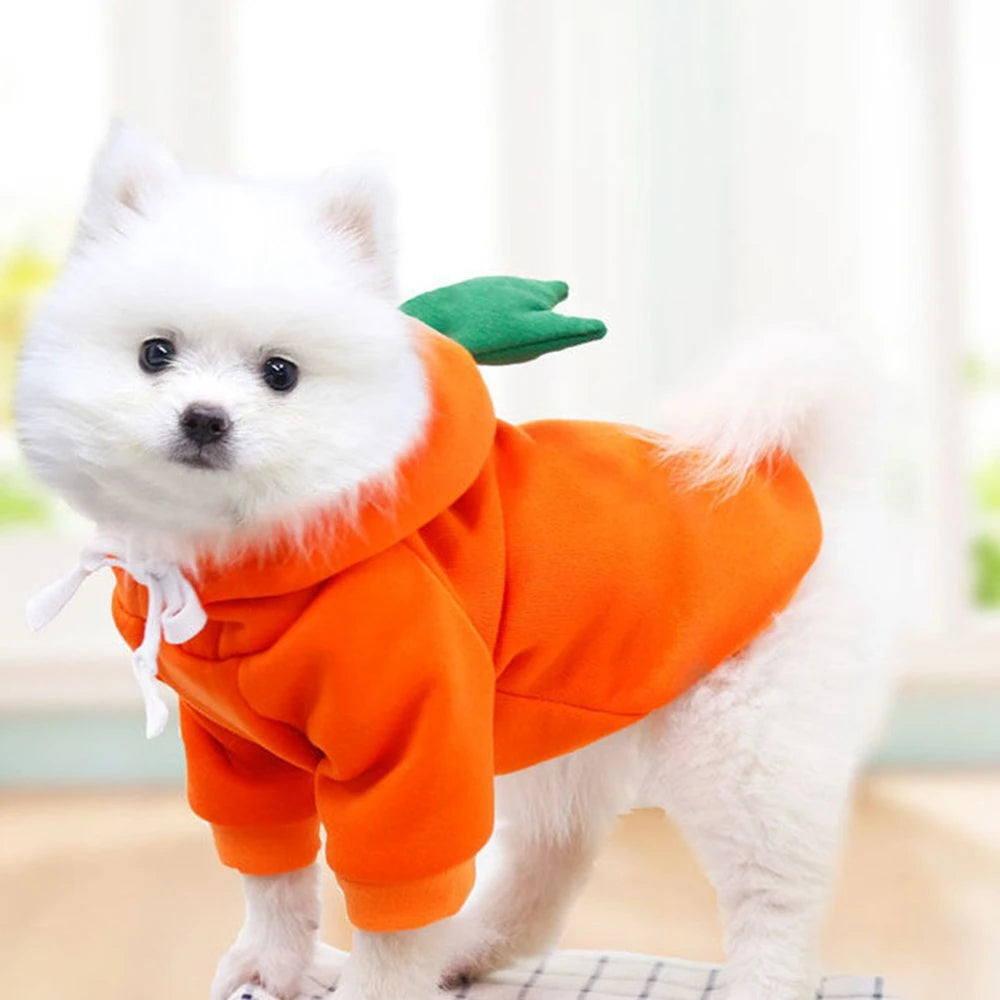 Cute Fruit Dog Clothes for Small Dogs Hoodies Warm Fleece Pet Clothing Puppy Cat Christmas Coat Chihuahua Jacket Suits