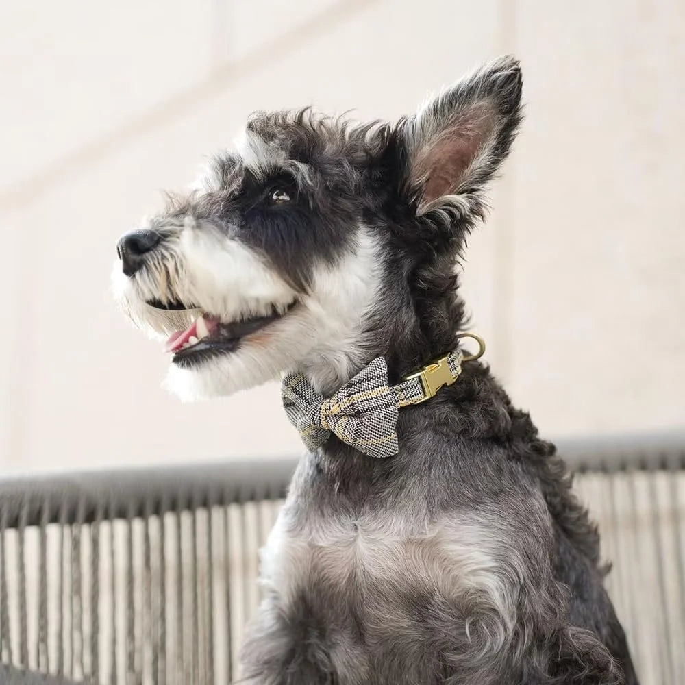 Cute Small Dog Harness Set with Adjustable Plaid Collar and Leash