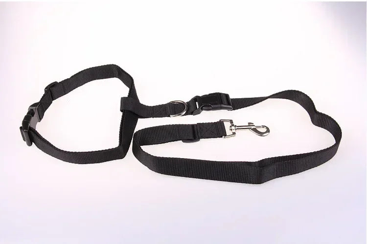 Adjustable Cat Dog Walking Lead Belt with Free Rope Supplies