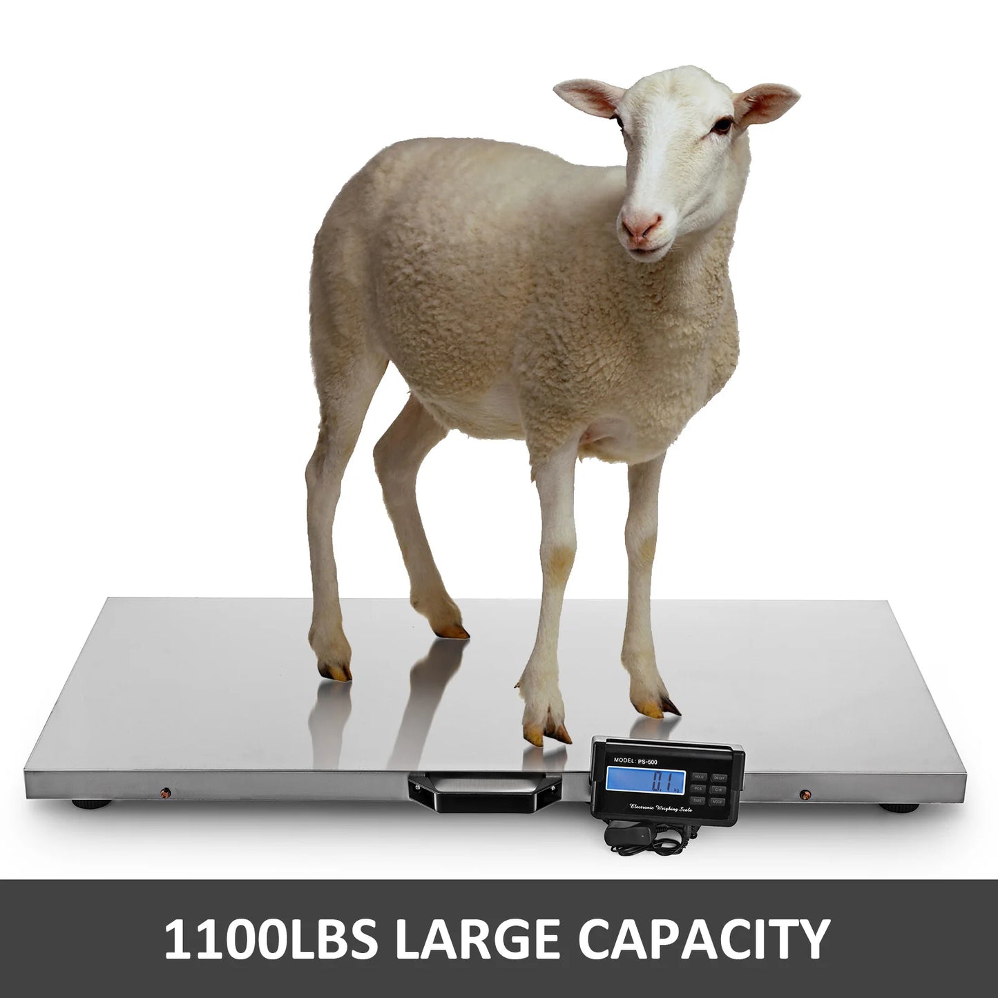 SucceBuy Digital Livestock Scale Stainless Steel Platform for Pets and Shipping