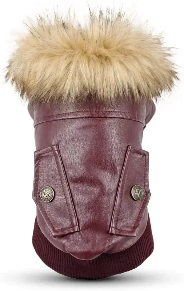 Winter Waterproof PU Dog Jacket for Medium Dogs by NoEnName