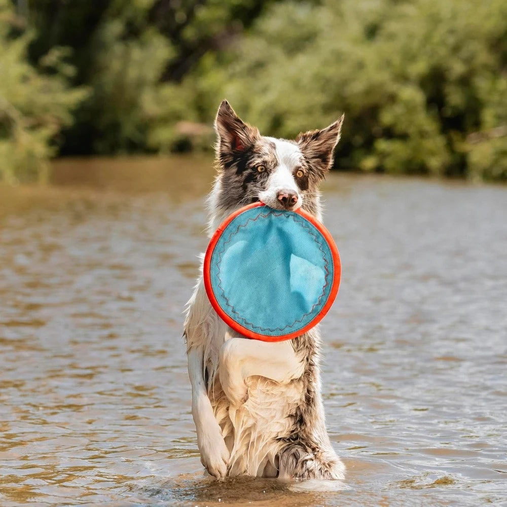 Paraflight Flying Disc Dog Toy Durable Water Floating Flyer for Engaging Fetch Games