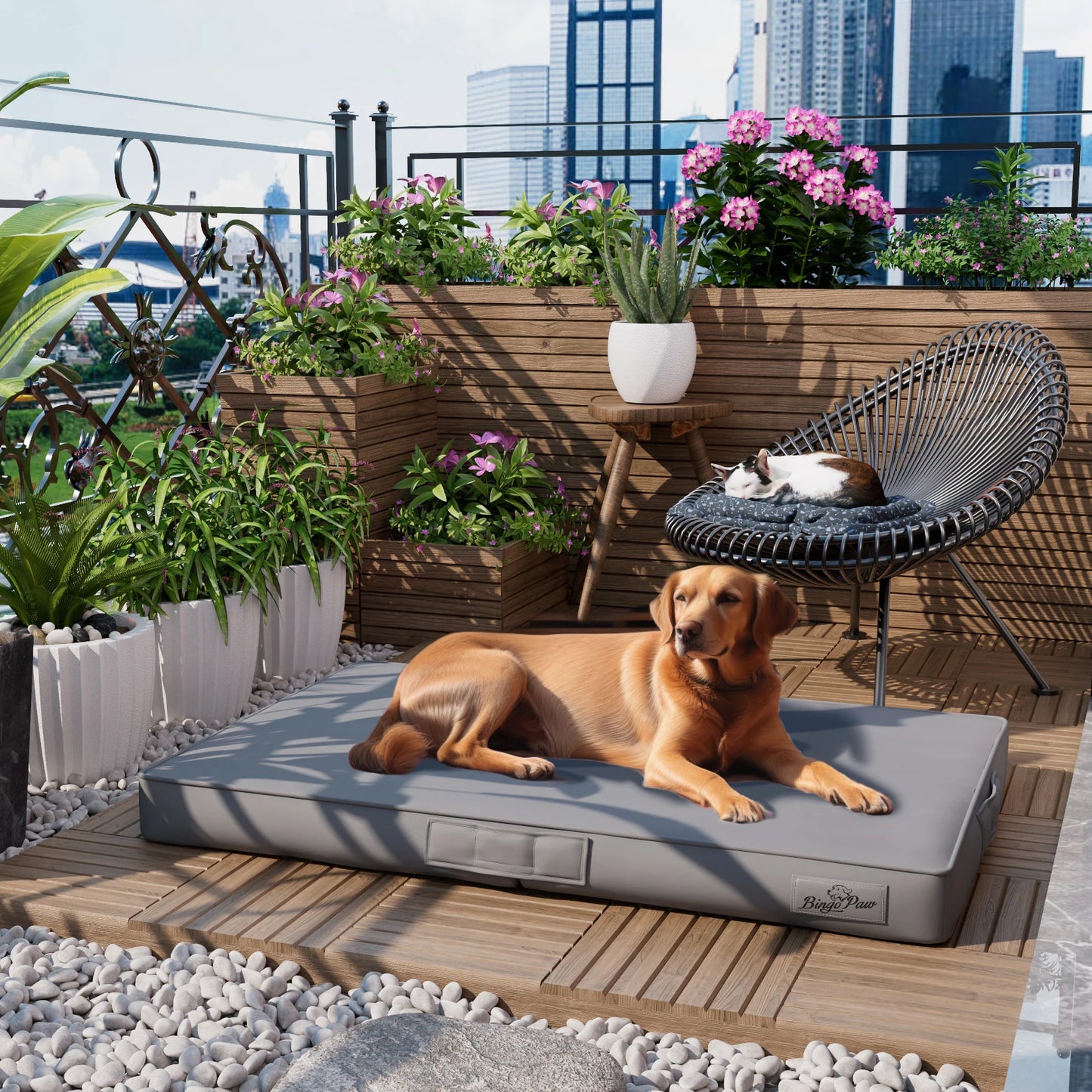 CN Guangdong Foldable Pet Bed With Ultra Bite Proof Mat