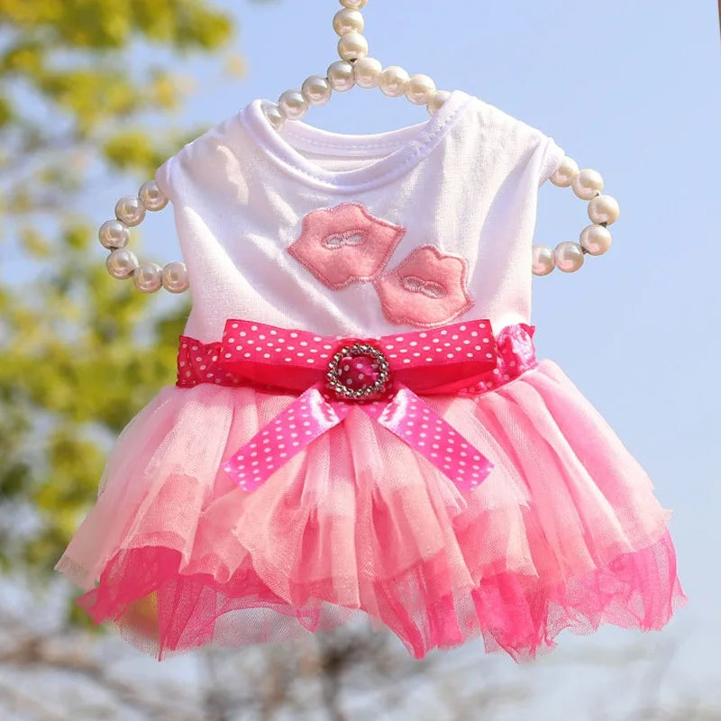 Sweet Dog Princess Dress for Small Dogs Lace Tutu Skirt Pet Apparel Summer Autumn Chihuahua Dress