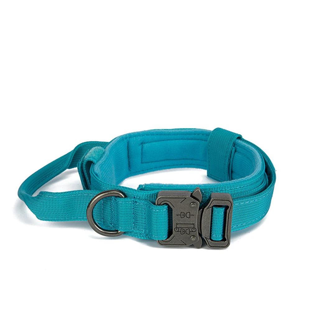 Durable Nylon Dog Collar and Leash Set for Large Breeds