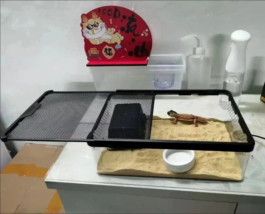 Hign-Concerned Clear Reptile Feeding Box for Snakes Geckos