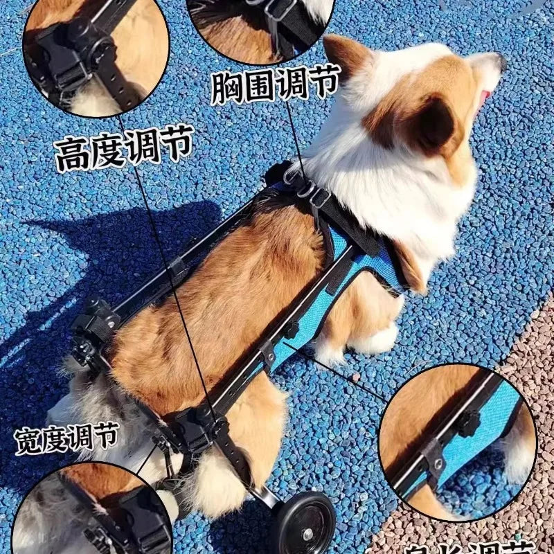 Elderly Dog Wheelchair for Hind Limb Paralysis Rehabilitation Cart
