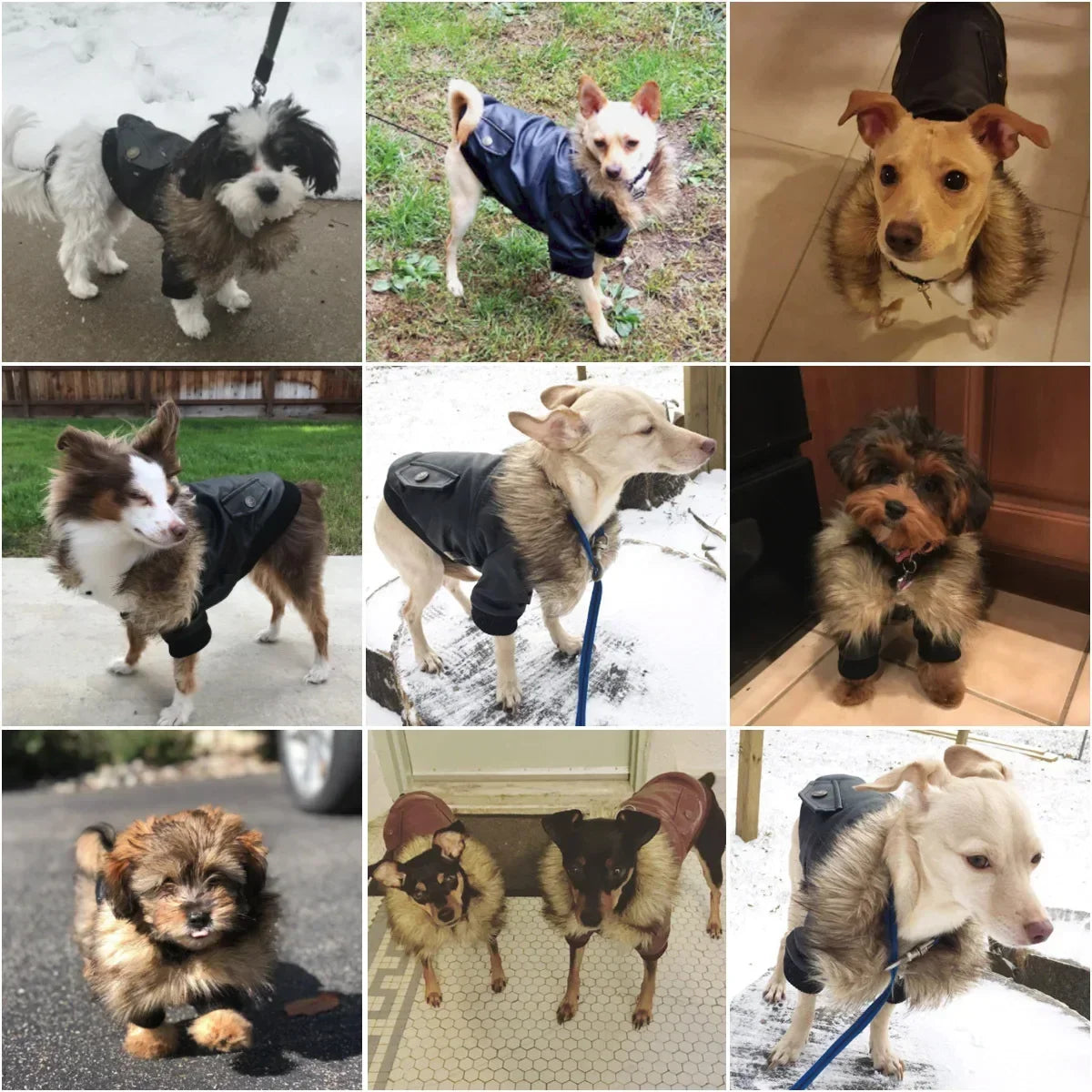 Winter Waterproof PU Dog Jacket for Medium Dogs by NoEnName