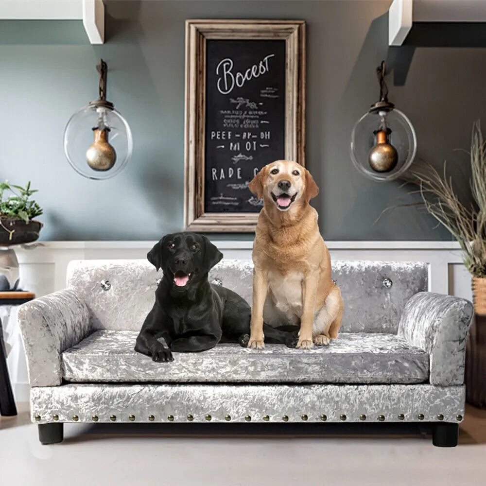 Luxury Velvet Tufted Dog Sofa Bed With Wood Frame