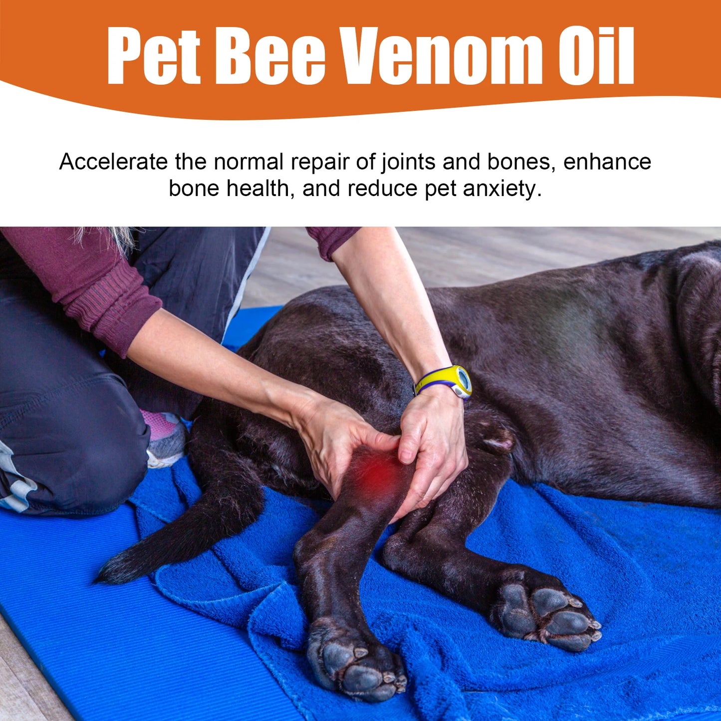 Yegbong Pet Bee Venom Water Saving Relief for Dogs and Cats Joint and Hip Pain Care with Vitamins