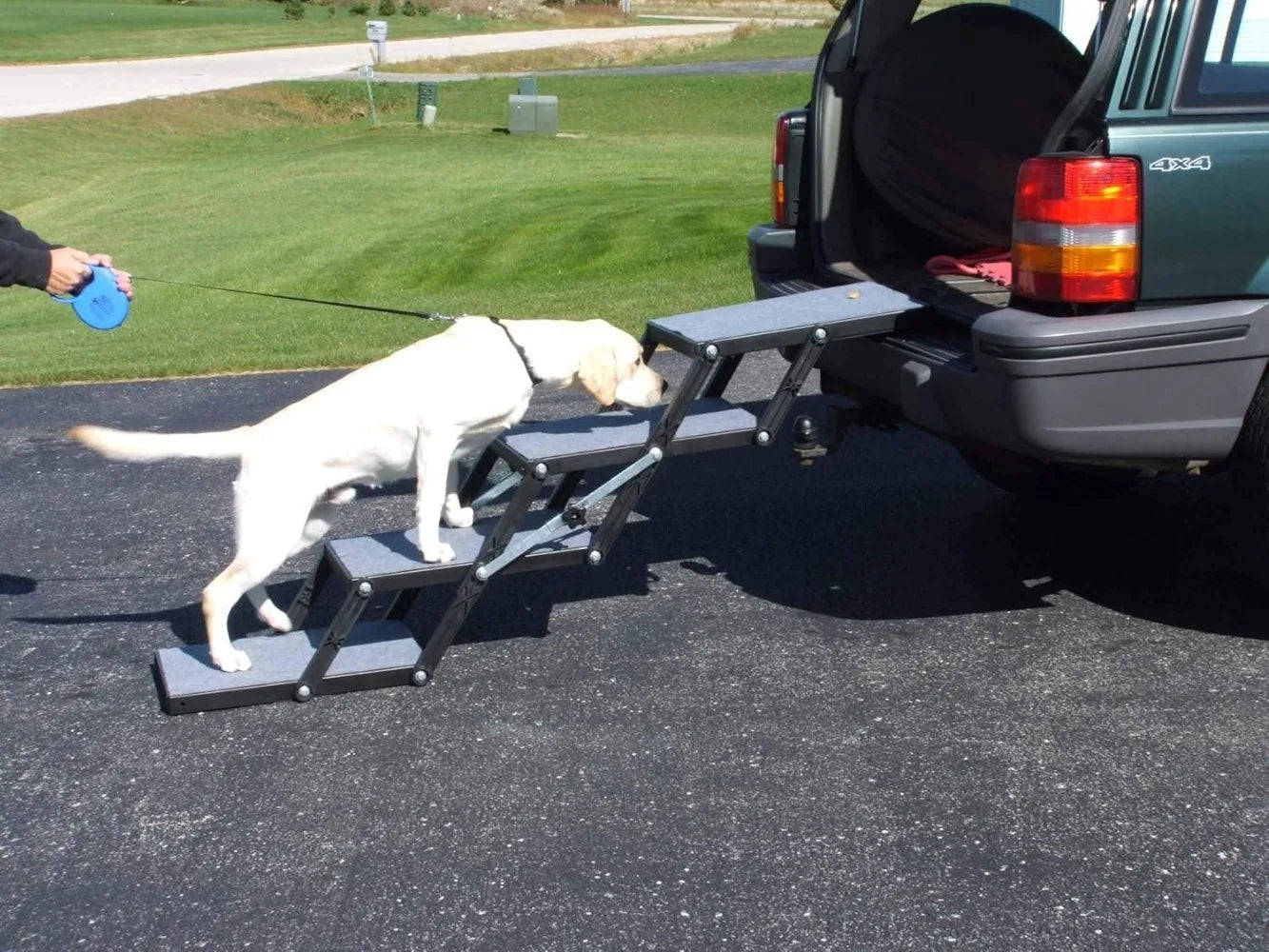 Light 16 Inch Dog Platform Step by NoEnName Safe and Affordable Travel Solution