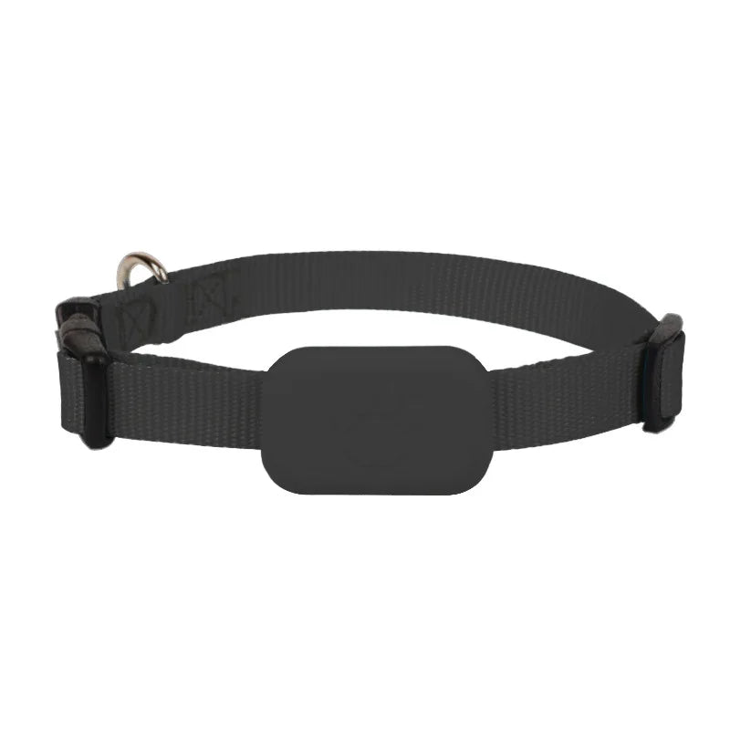 Hign-concerned iOS Puppy Collar Battery Operated Tracking