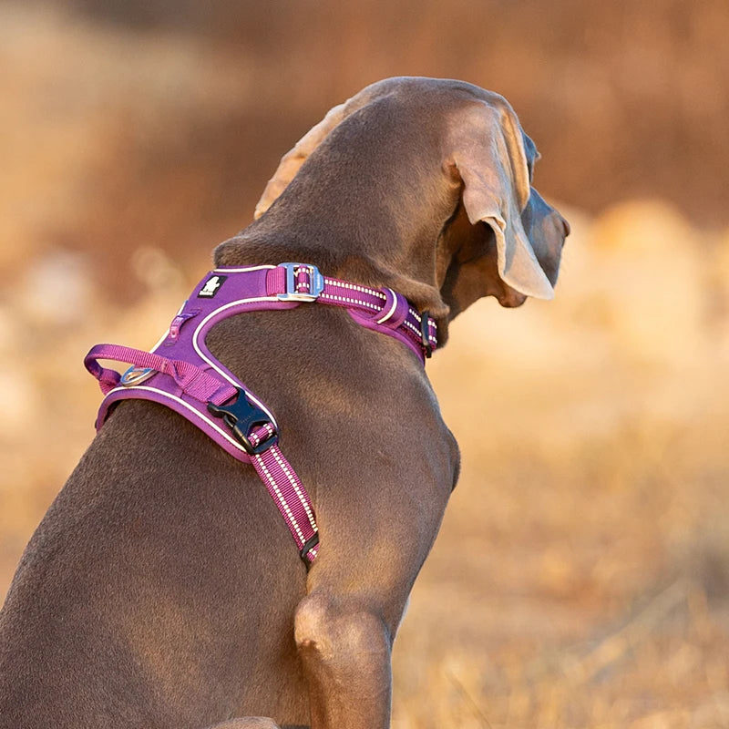 Winhyepet Training Dog Vest Reflective Light Nylon Padding Service Harness Protective Clothes for Small Medium Large Dogs