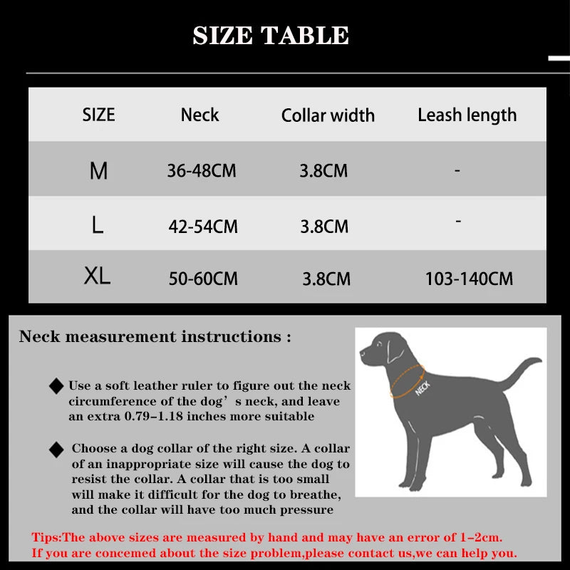 Durable Nylon Dog Collar and Leash Set for Large Breeds