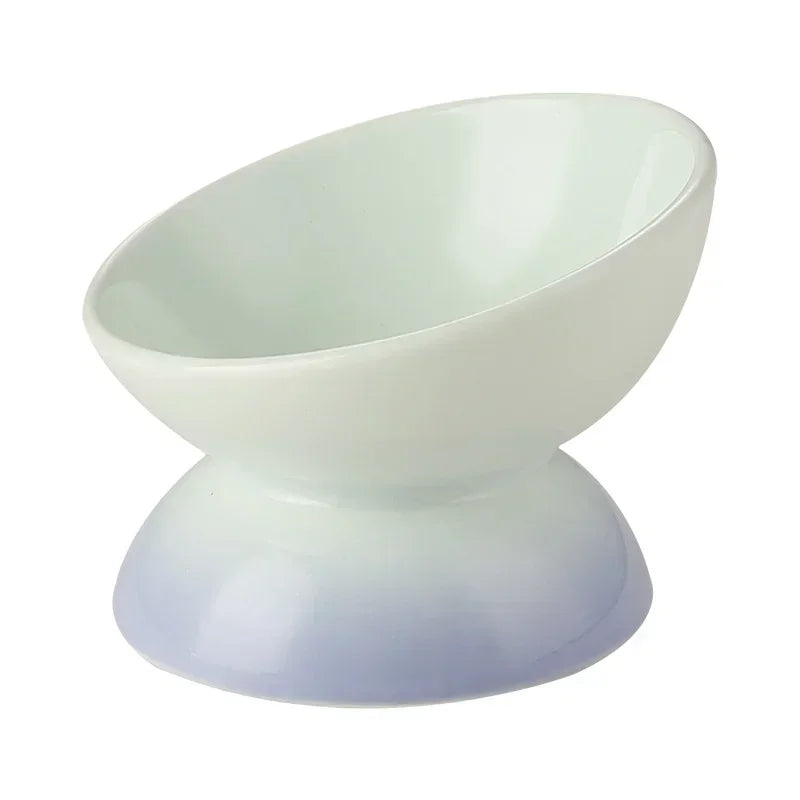 Tilted Ceramic Pet Bowl for Cats and Dogs Raised Feeding Station
