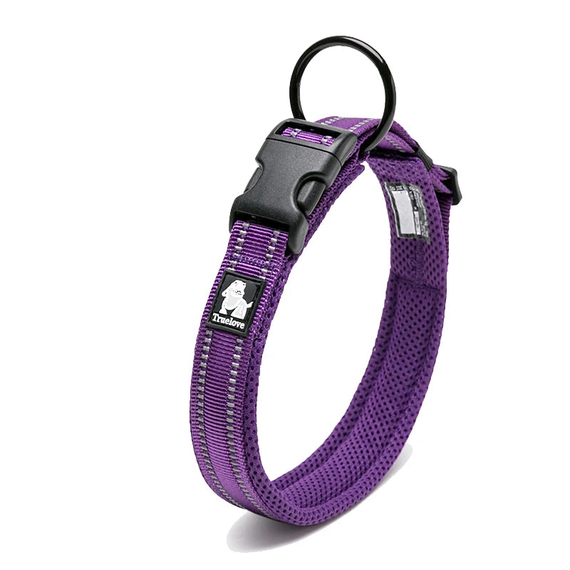 Winhyepet Nylon Dog Walking Collar Padded Comfort Buckle