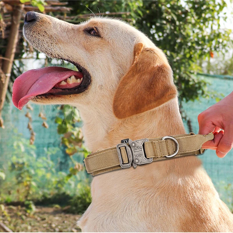 Durable Nylon Dog Collar and Leash Set for Large Breeds