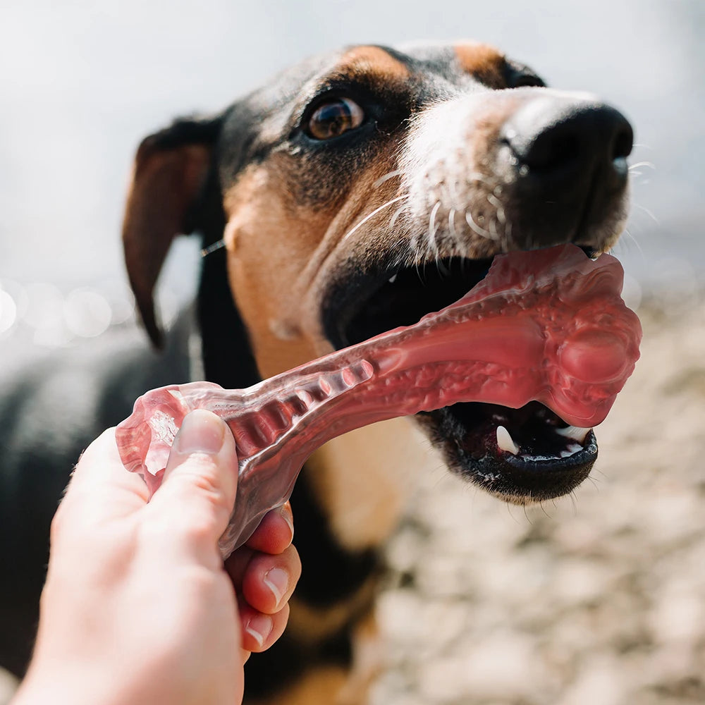 Masbrill Indestructible Bone Shaped Dog Toy for Aggressive Chewers