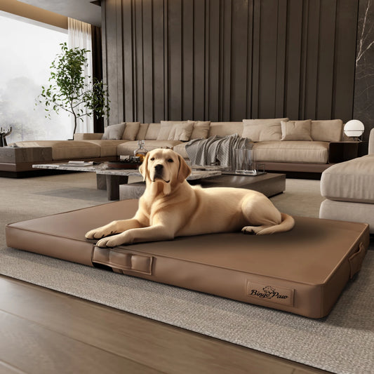 CN Guangdong Foldable Pet Bed With Ultra Bite Proof Mat