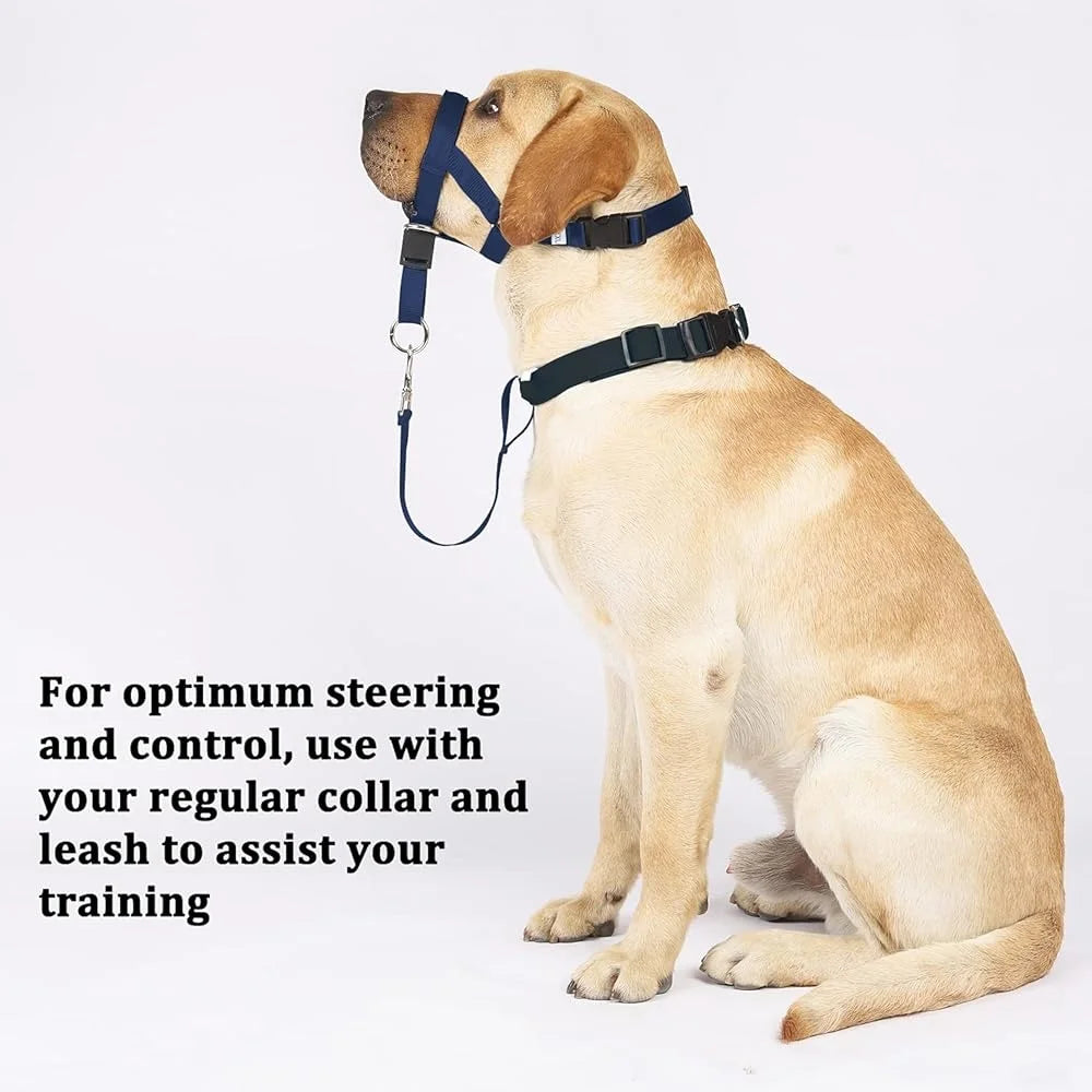 No Pull Dog Training Halter Adjustable Head Collar Easy Fit Harness with Gentle Control and Safety Link