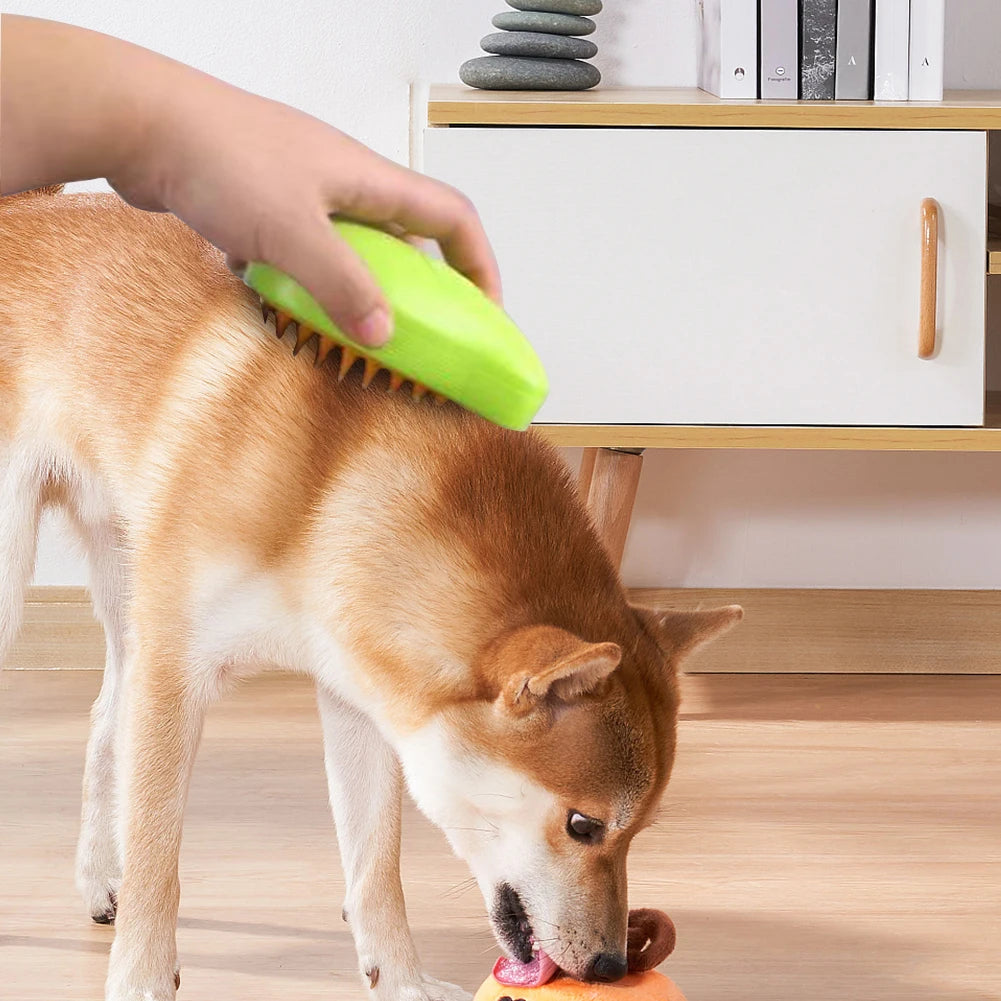 Electric Cat Grooming Brush with Spray for Easy Hair Removal