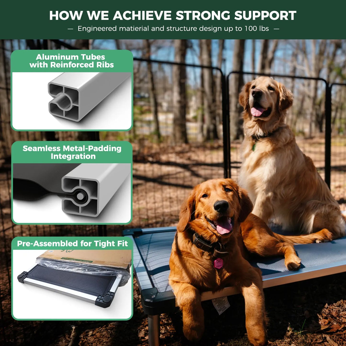 FXW Titanest Padded Dog Bed for Crate Chewproof Indoor Use