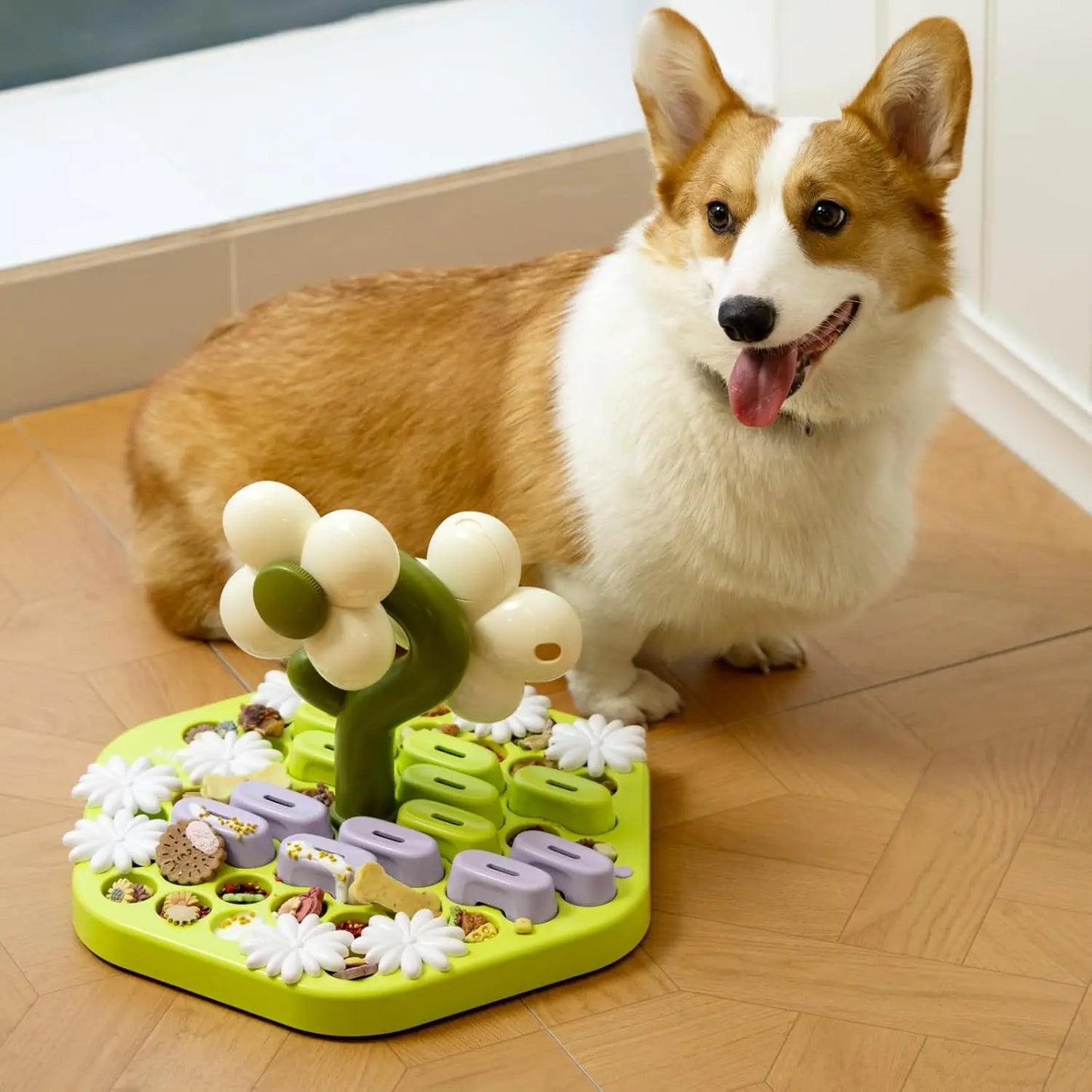 Fun Level 4 Dog Puzzle Toy for IQ Training and Feeding
