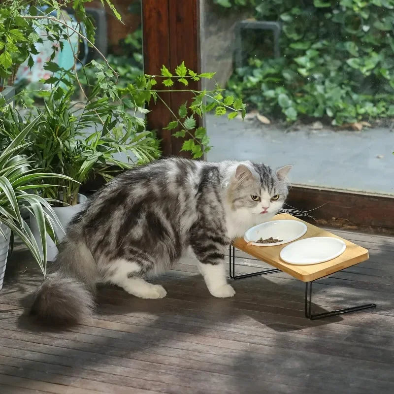 Elevated Cat Ceramic Bowls with Bamboo Stand for Easy Feeding