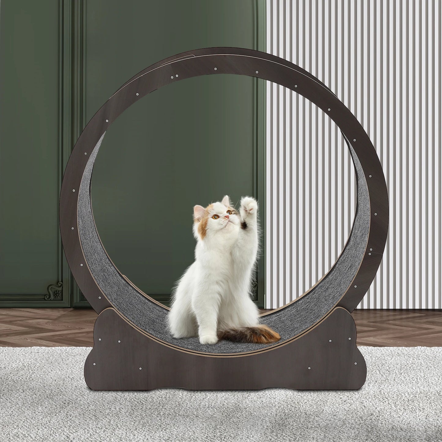 Cat Exercise Wheel Treadmill Low Noise Space Saving Gift For Cats