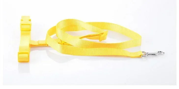 Adjustable Cat Dog Walking Lead Belt with Free Rope Supplies