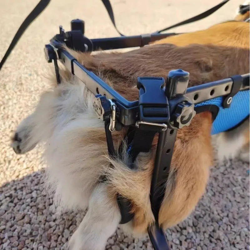 Elderly Dog Wheelchair for Hind Limb Paralysis Rehabilitation Cart